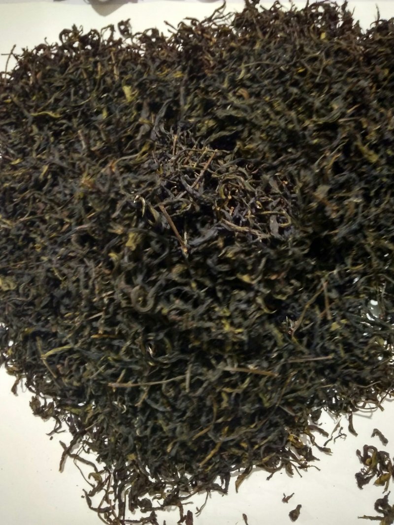 诏安乌龙八仙茶，高山茶叶茶香浓耐泡员工茶农场茶园