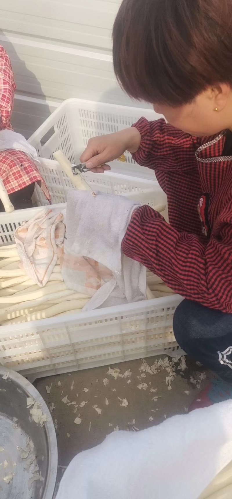 河南焦作温县古怀庆府垆土铁棍山药片中草药材药食同怀山药片