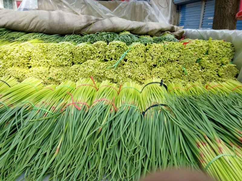 【牛商优选】蒜苔大量上市欢迎新老客户洽谈咨询保质保量