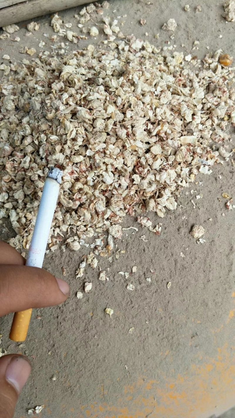 厂家常年大量出售优质玉米芯颗粒