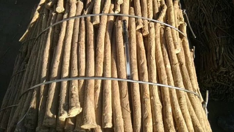 黄芪原条，黄芪片，黄芪直条中药材煲汤料