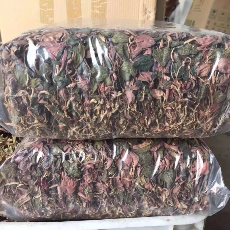 金线莲100克起包邮散装盒装金线莲泡水泡茶