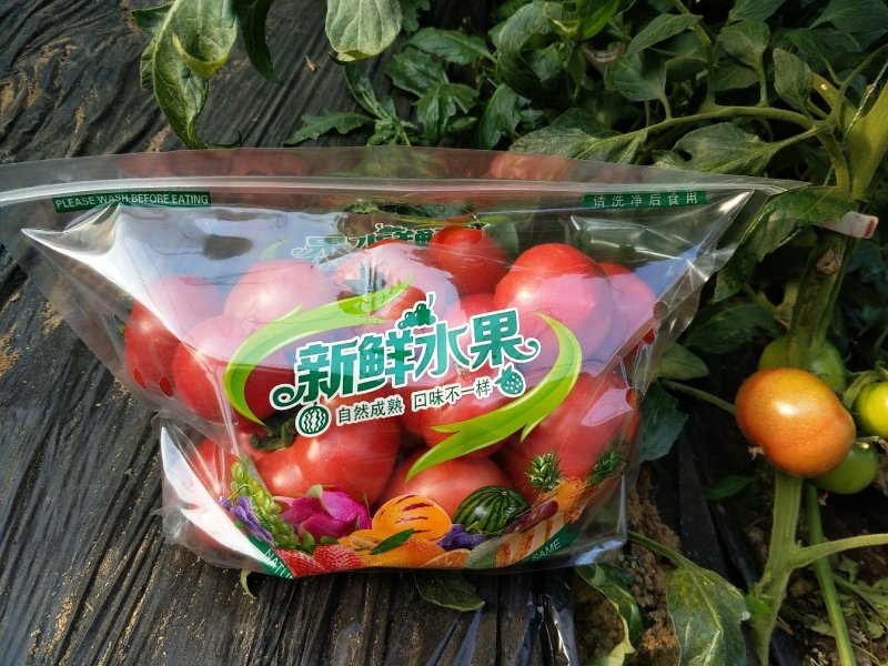 口感西红柿