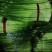 蒜薹精品50------60公分