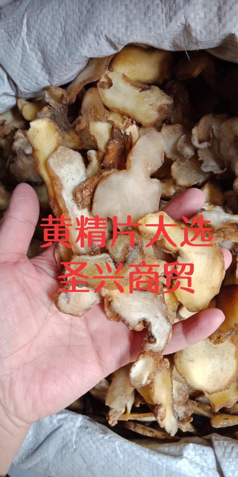 黄精黄精片中药材批发零售各种规格中药材