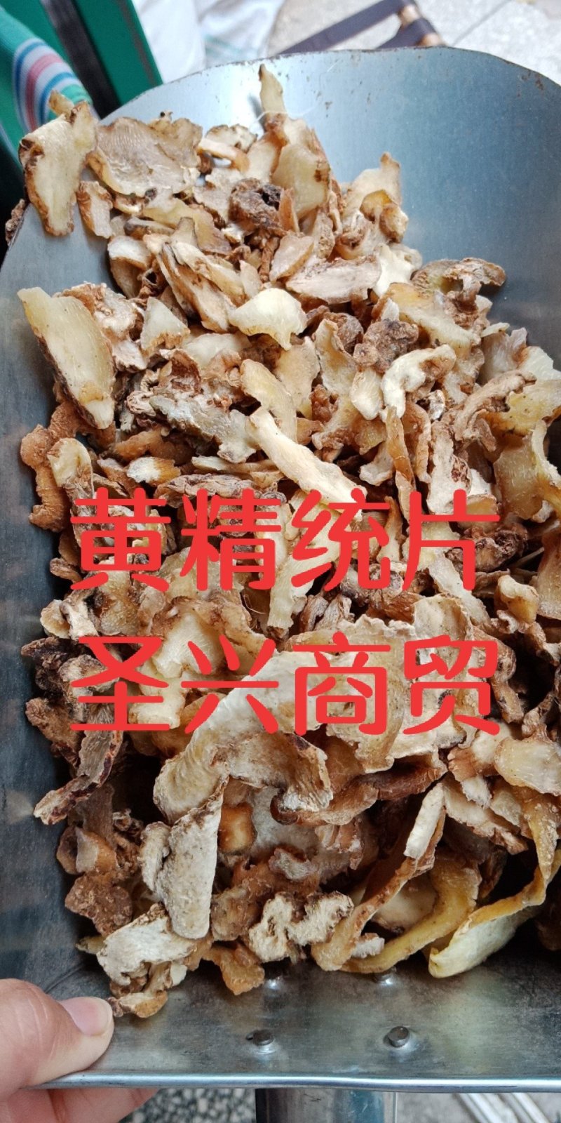 黄精黄精片中药材批发零售各种规格中药材