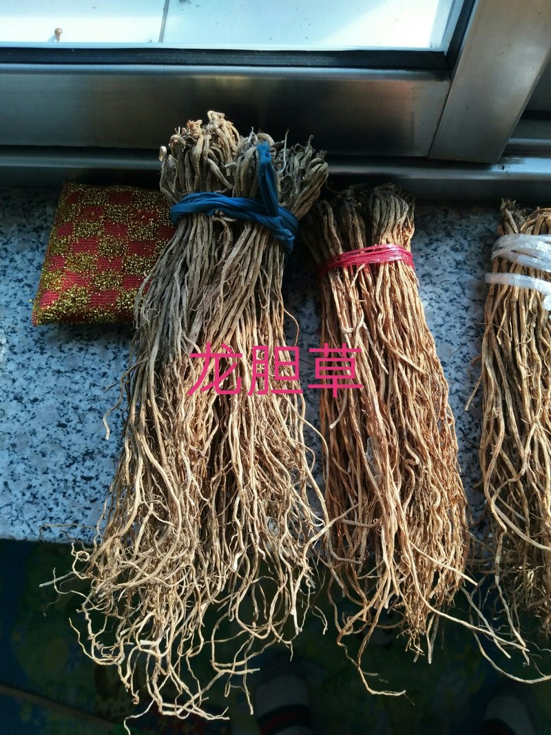 辽宁抚顺清原北龙胆草种子