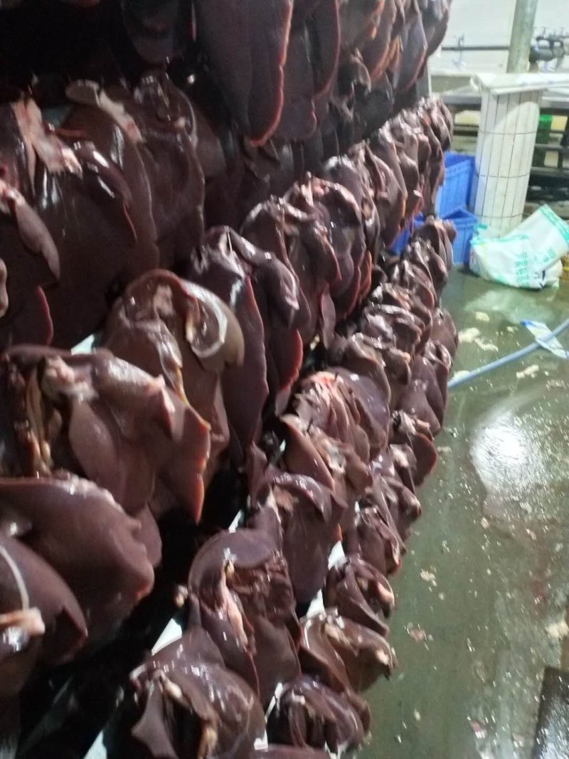 供应新鲜猪肝