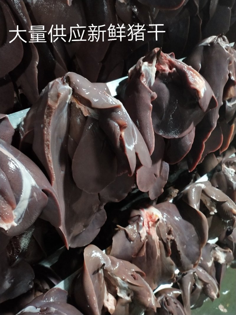 供应新鲜猪肝