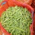 【豌豆】湖北青碗豆大量供应可视频看货欢迎咨询