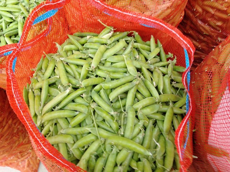 【豌豆】湖北青碗豆大量供应可视频看货欢迎咨询