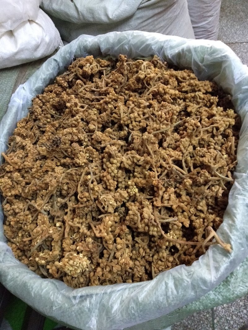 枇杷花