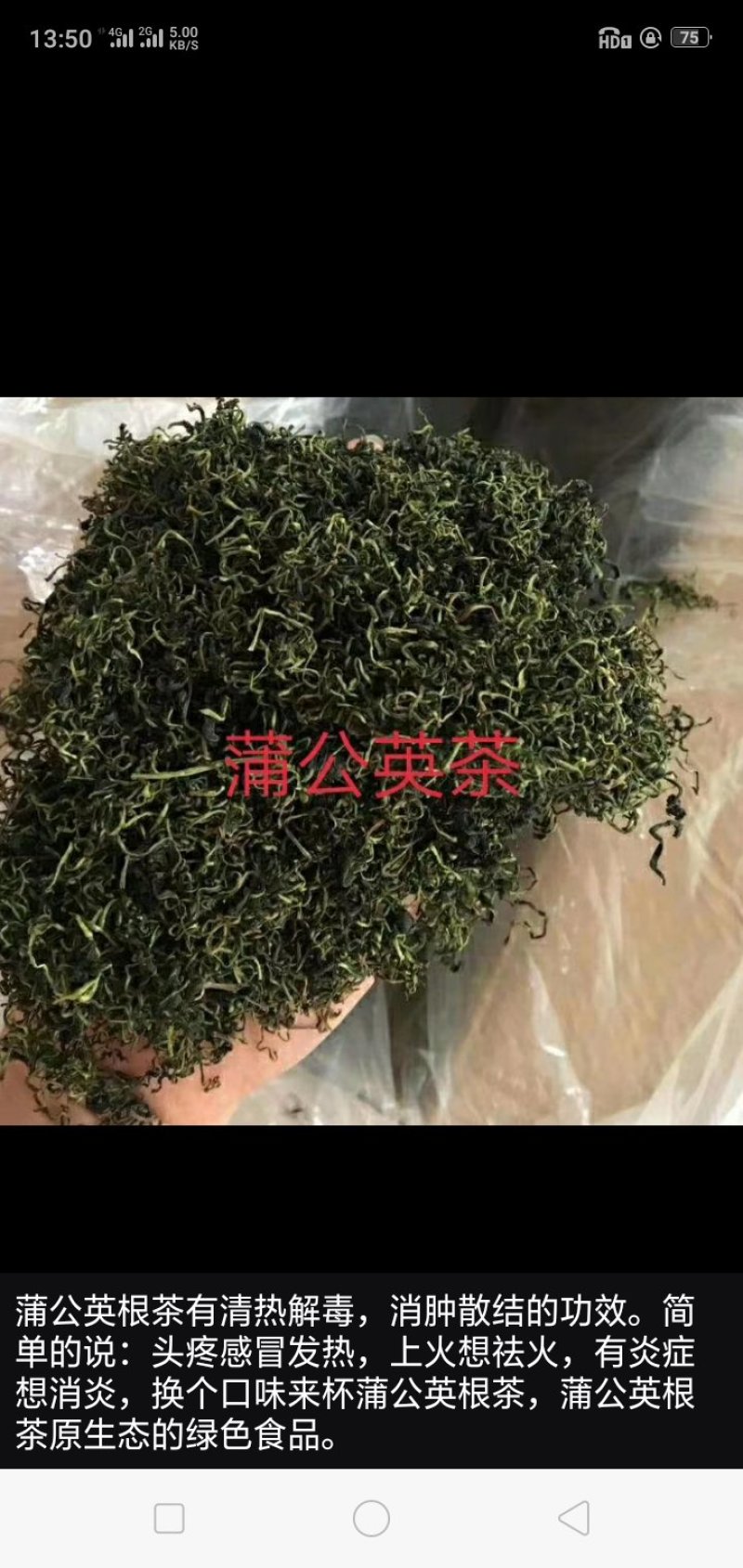 蒲公英茶