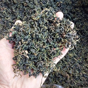蒲公英茶