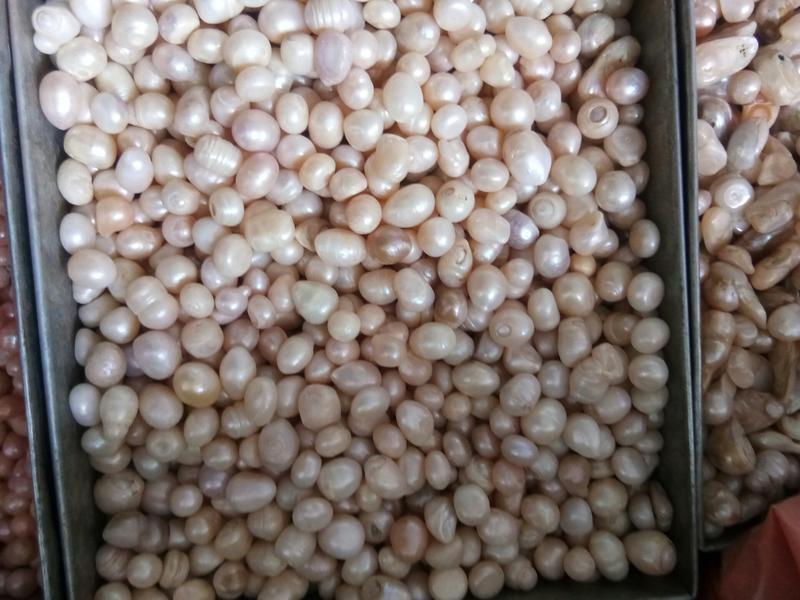 珍珠颗粒均匀色泽好规格齐全一公斤起包邮
