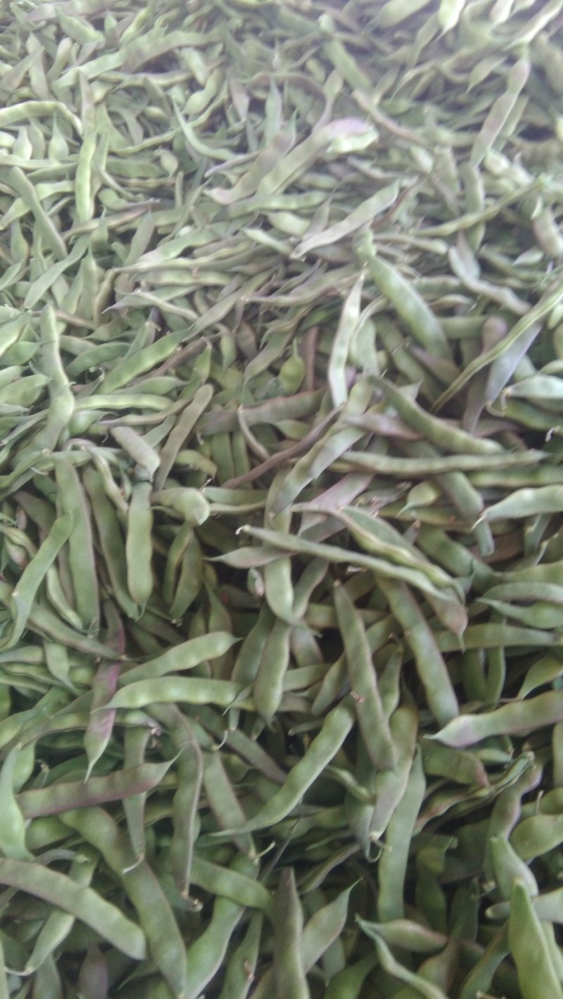 油豆