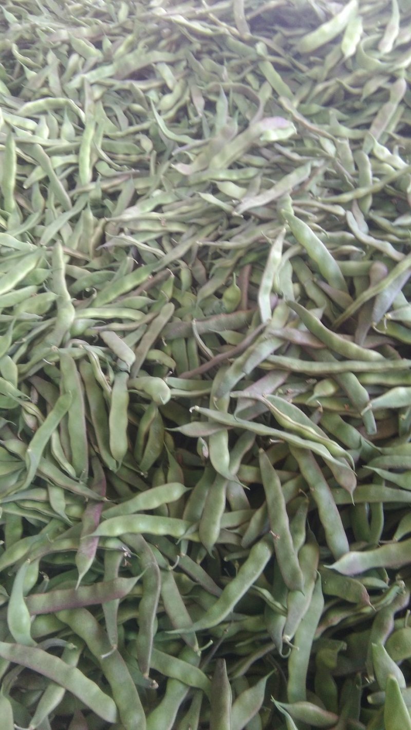 油豆