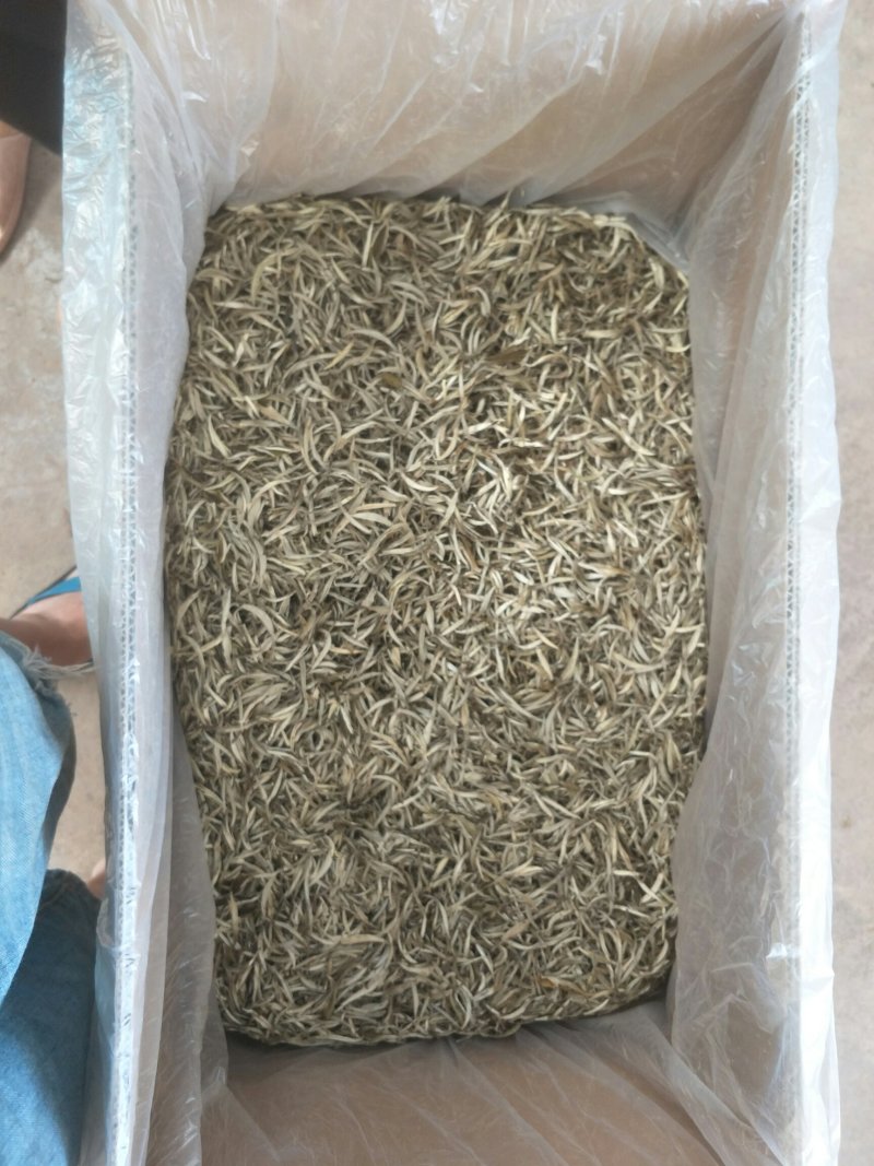 茶叶，白豪银针芽尖单芽