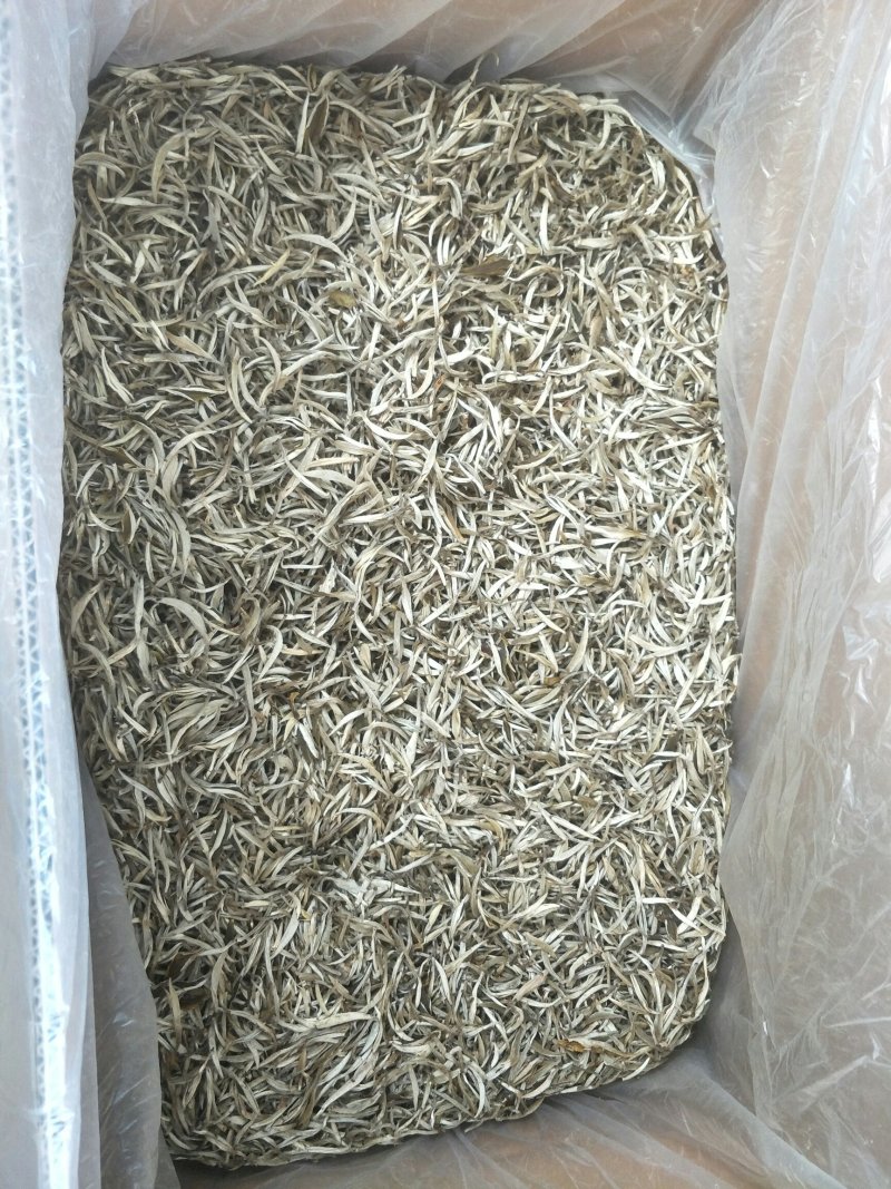 茶叶，白豪银针芽尖单芽