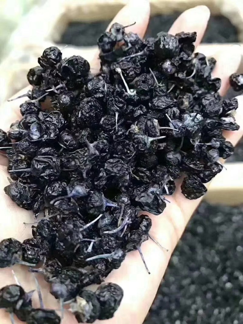 包邮价野生黑枸杞