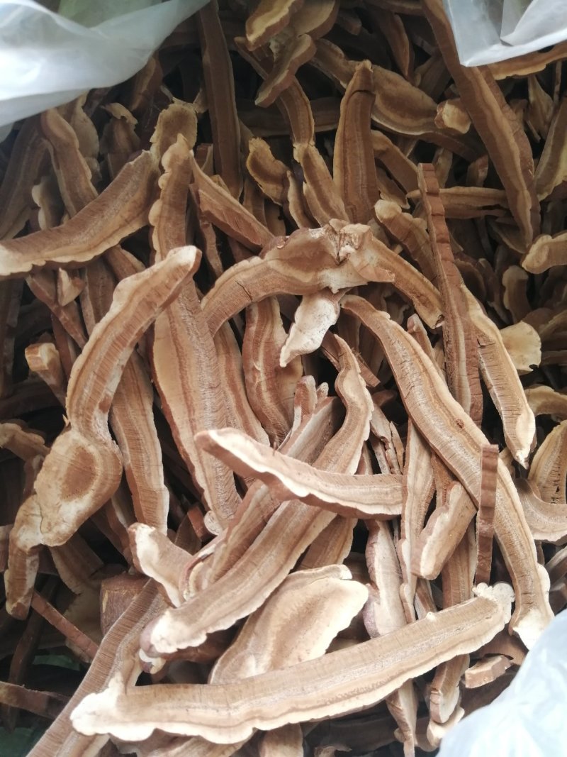 批发出售灵芝