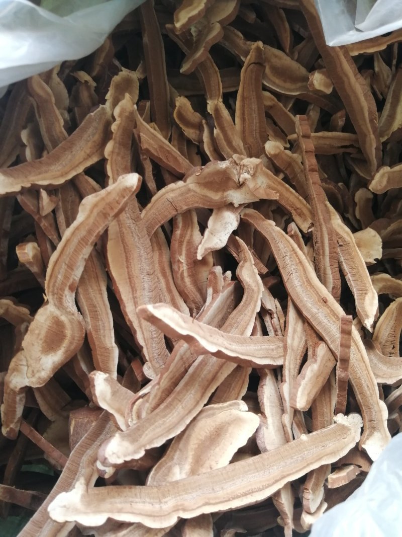 批发出售灵芝
