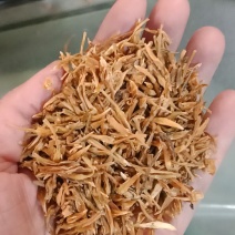 素馨花素心花各种冷背中药材批发零售各种规格中药材