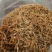 素馨花素心花各种冷背中药材批发零售各种规格中药材