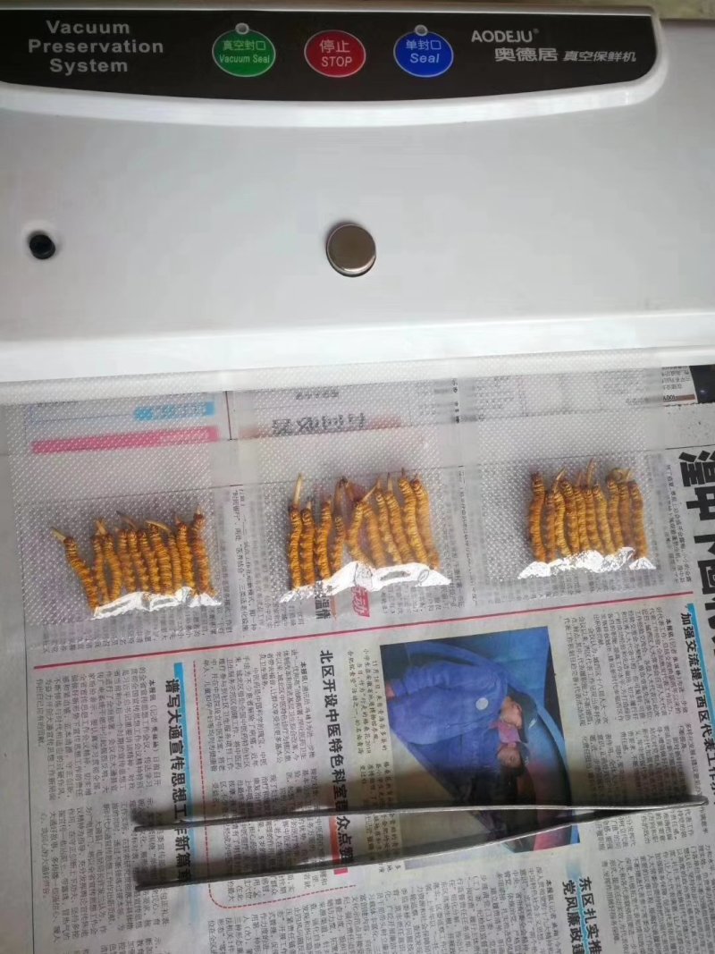 新鲜虫草不满意可退货