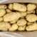 山东肥城荷兰十五土豆土豆黄瓤,大棚新土豆大量供应全国发货