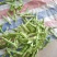 油豆角紫花油豆万亩基地产地直销保质保量