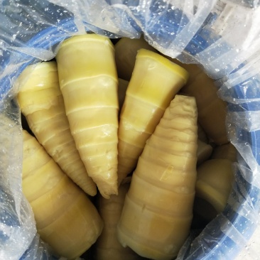 酸笋尖原味