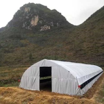 厂价直销全套养殖鸡鸭猪大棚，种植大棚温室大棚各种规格定做