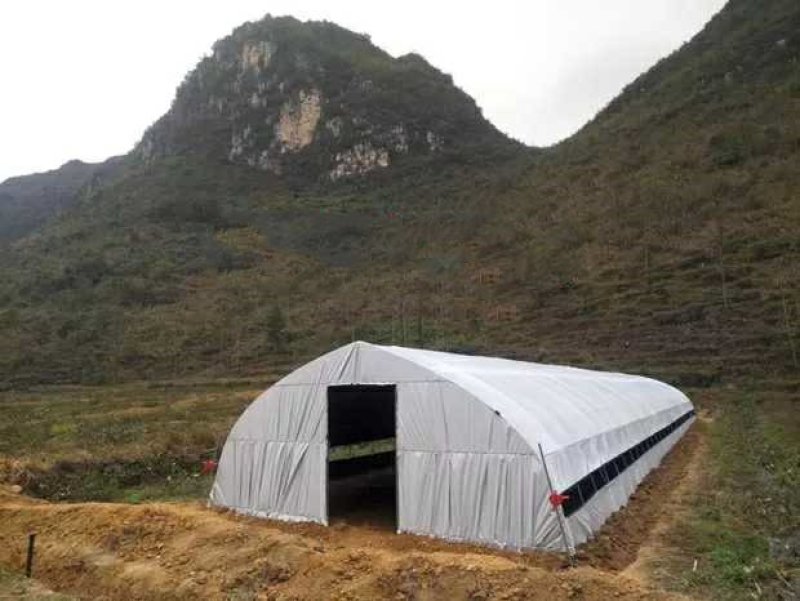 厂价直销全套养殖鸡鸭猪大棚，种植大棚温室大棚各种规格定做