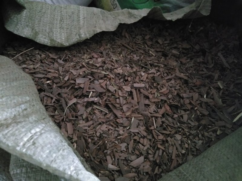 鬼翦羽