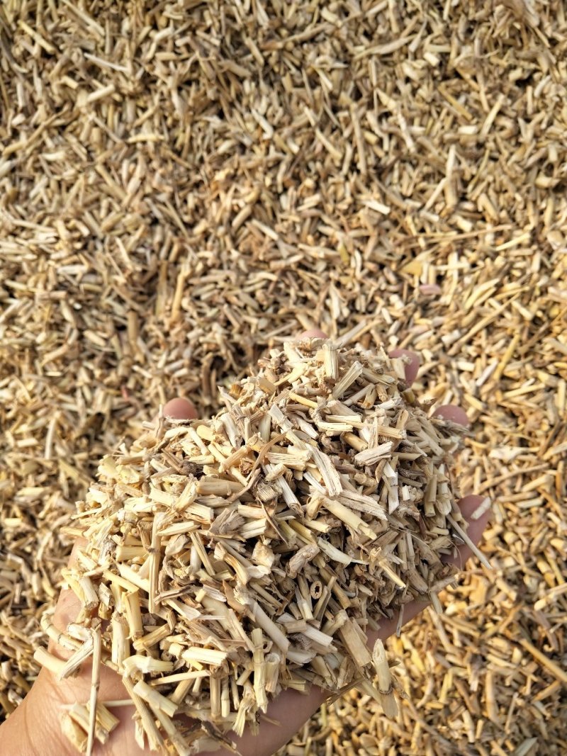 白茅根