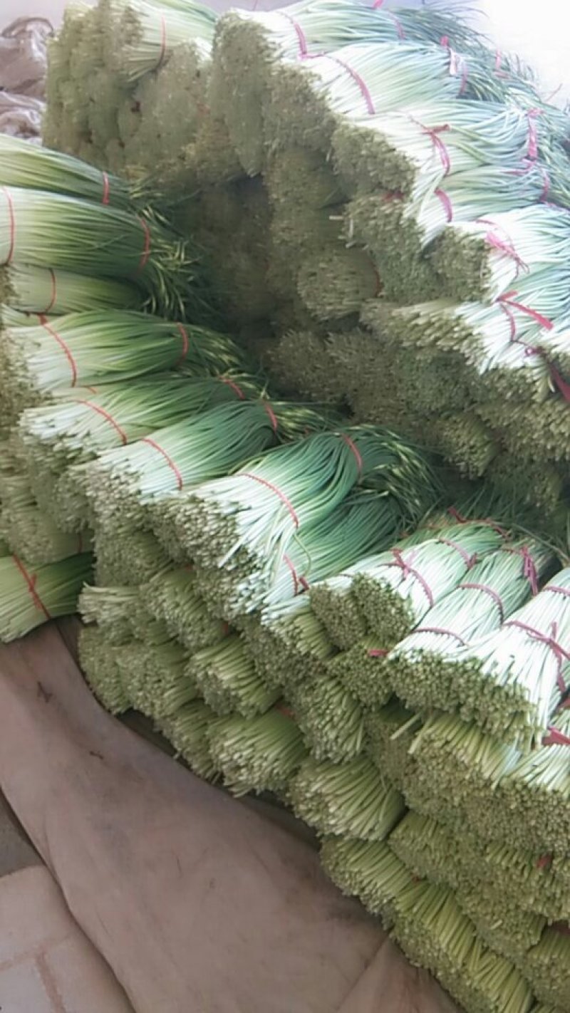 蒜苔