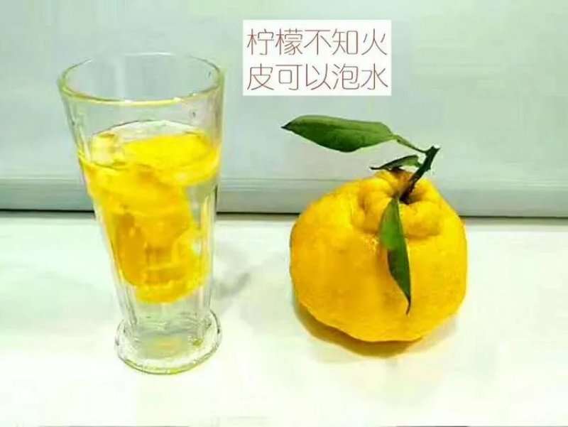 柠檬不知火柑橘苗