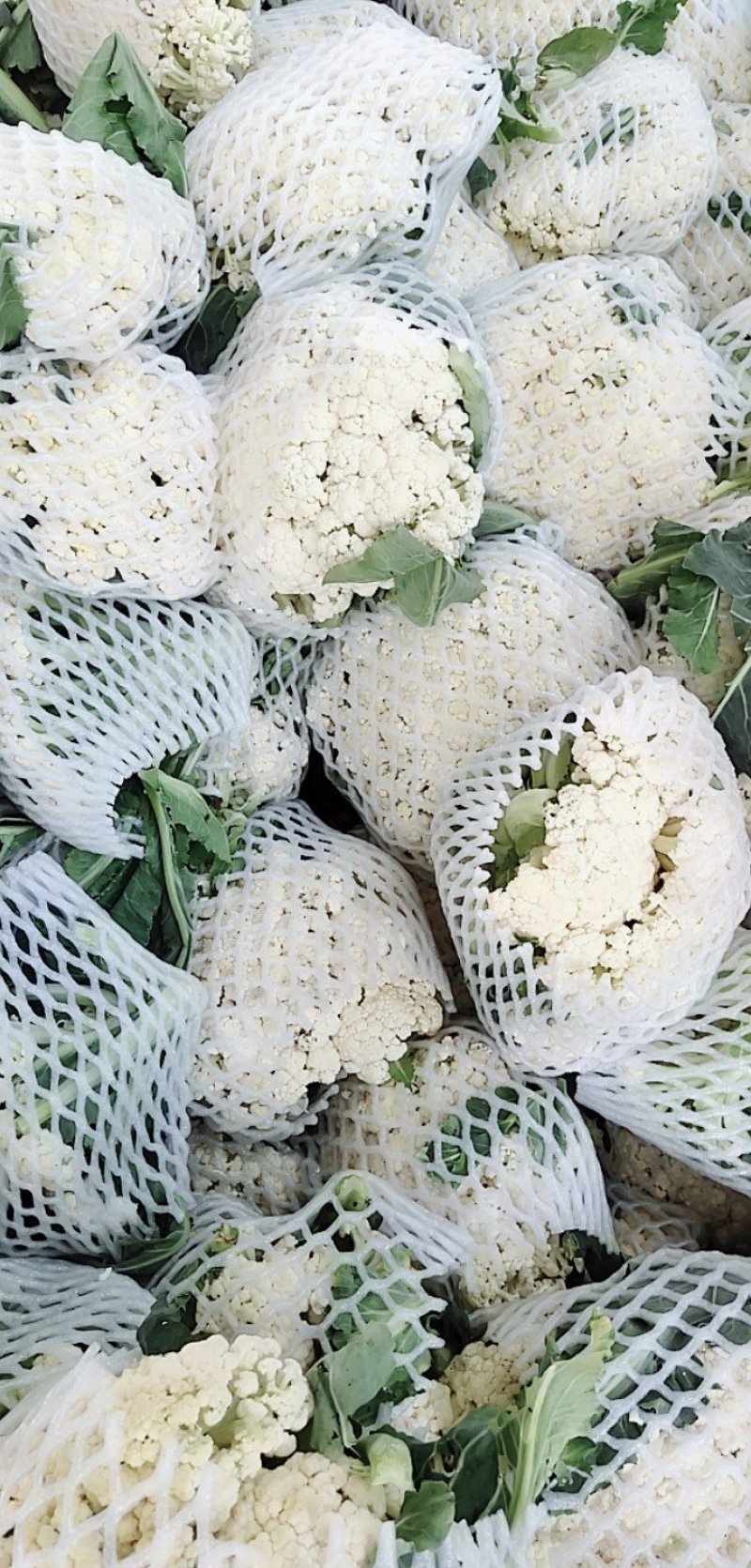 产地直发精品有机花菜青梗散花大量上市