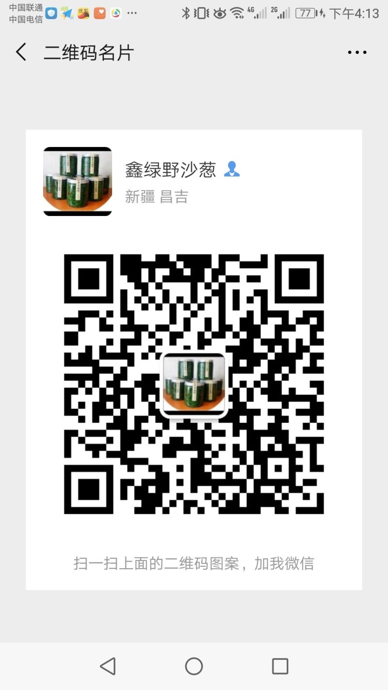 野生移栽的沙葱
