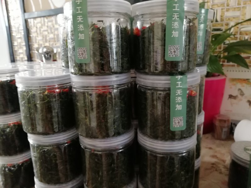 野生移栽的沙葱