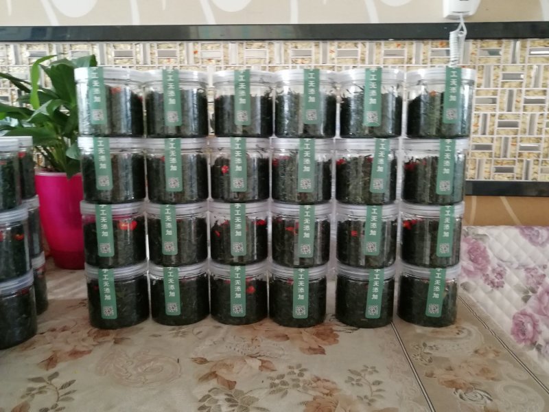 野生移栽的沙葱