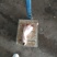 猪蹄