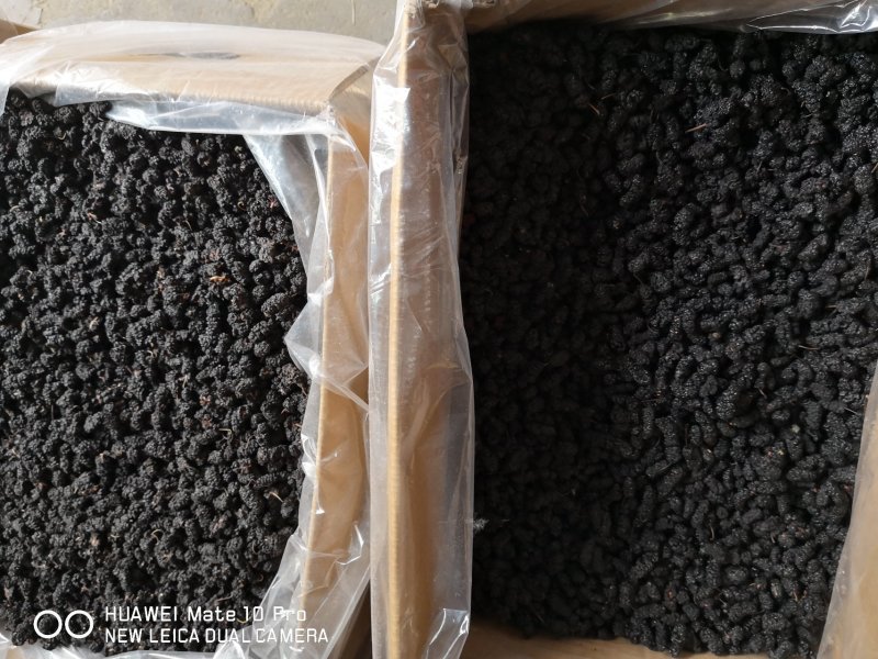 桑葚干食用四川干货口感好无泥沙2斤包邮量大从优