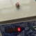 300/500秘鲁赤道鱿鱼嘴巴