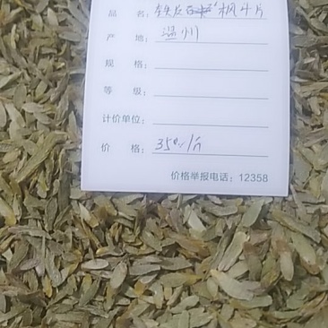 铁皮石斛