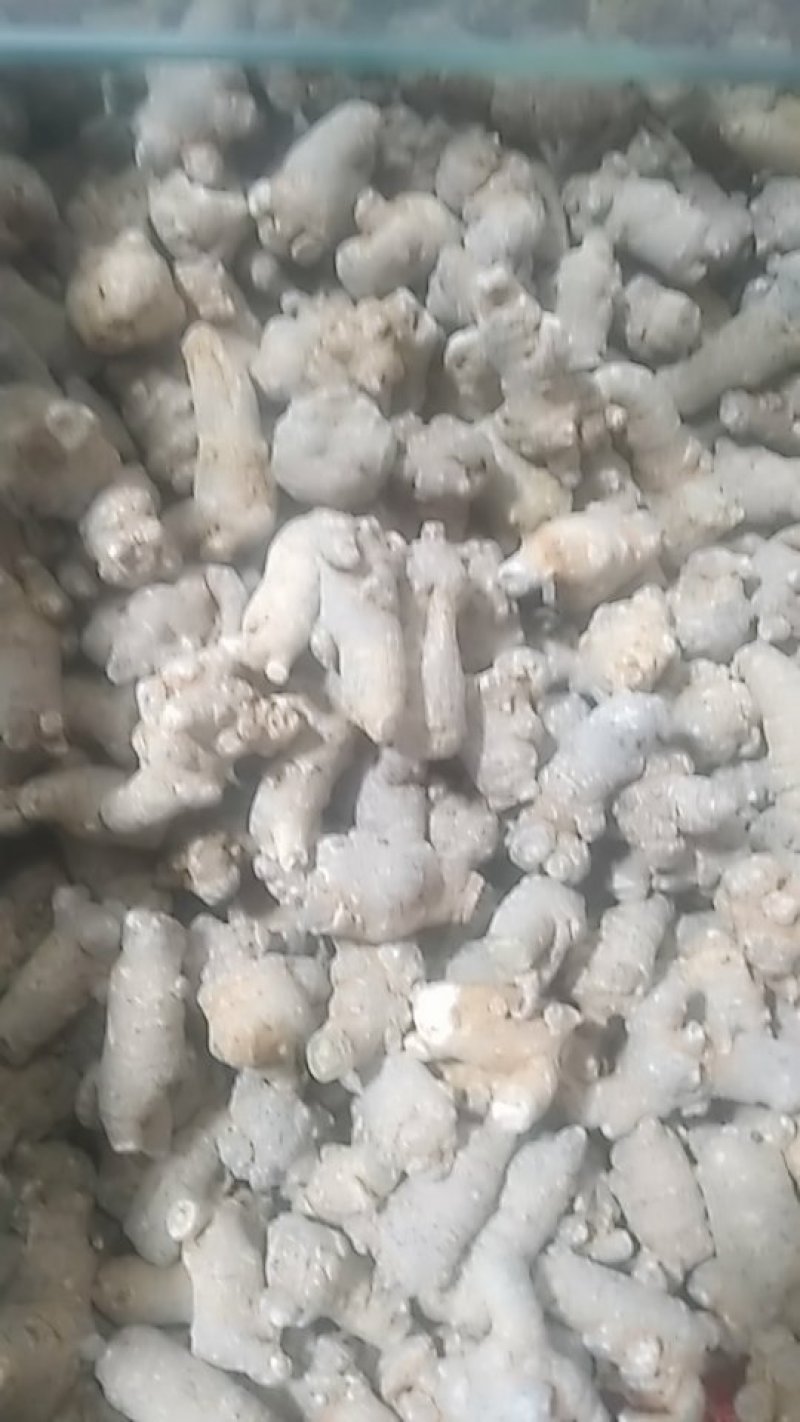 三七