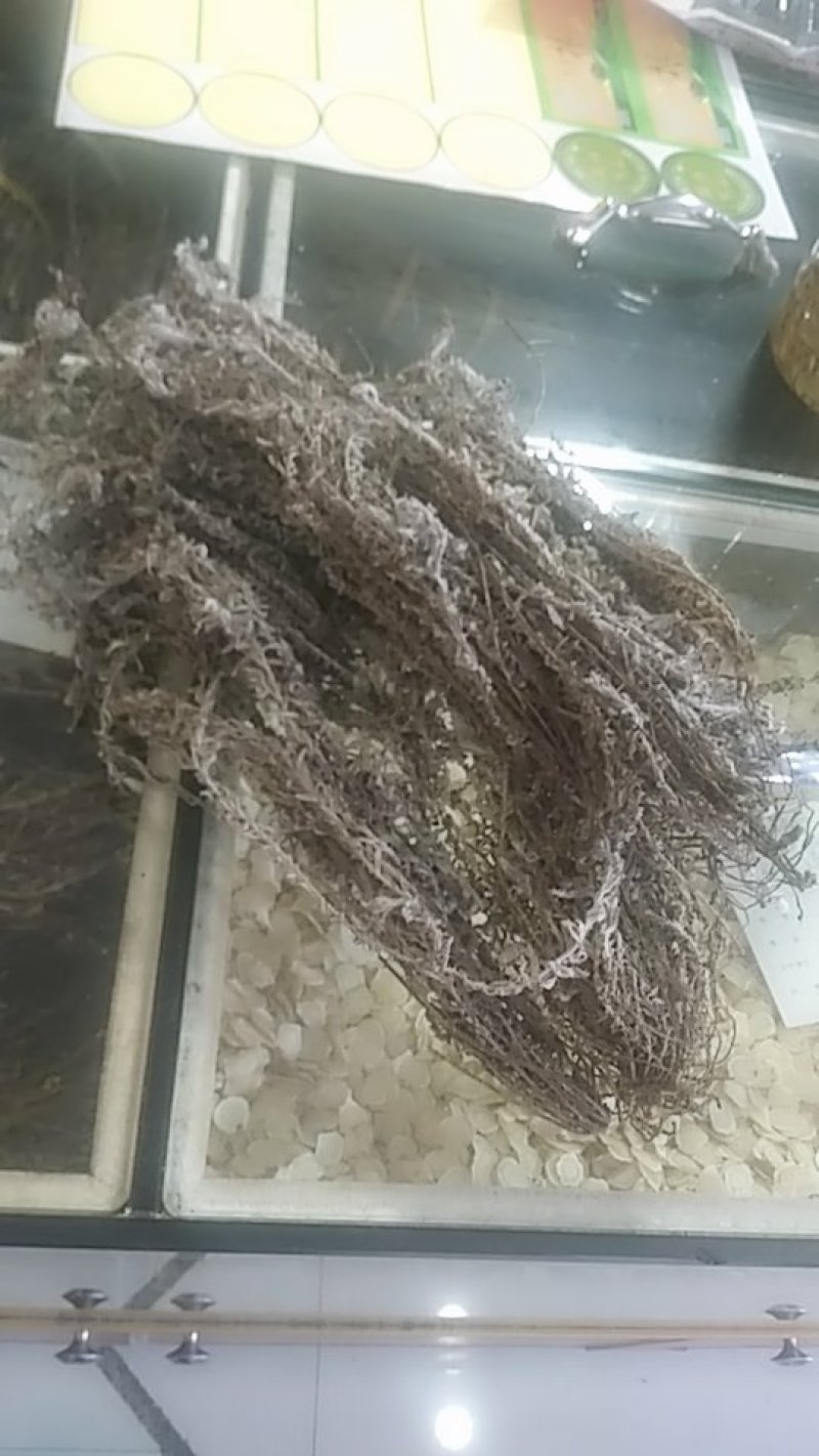 茵陈