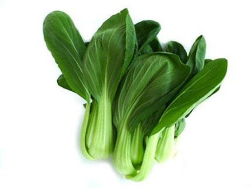 上海青小油菜河北精品小油菜大量上市质量保证欢迎选购