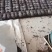 2019年福建产地自产自销无沙莱海带丝，现在预约